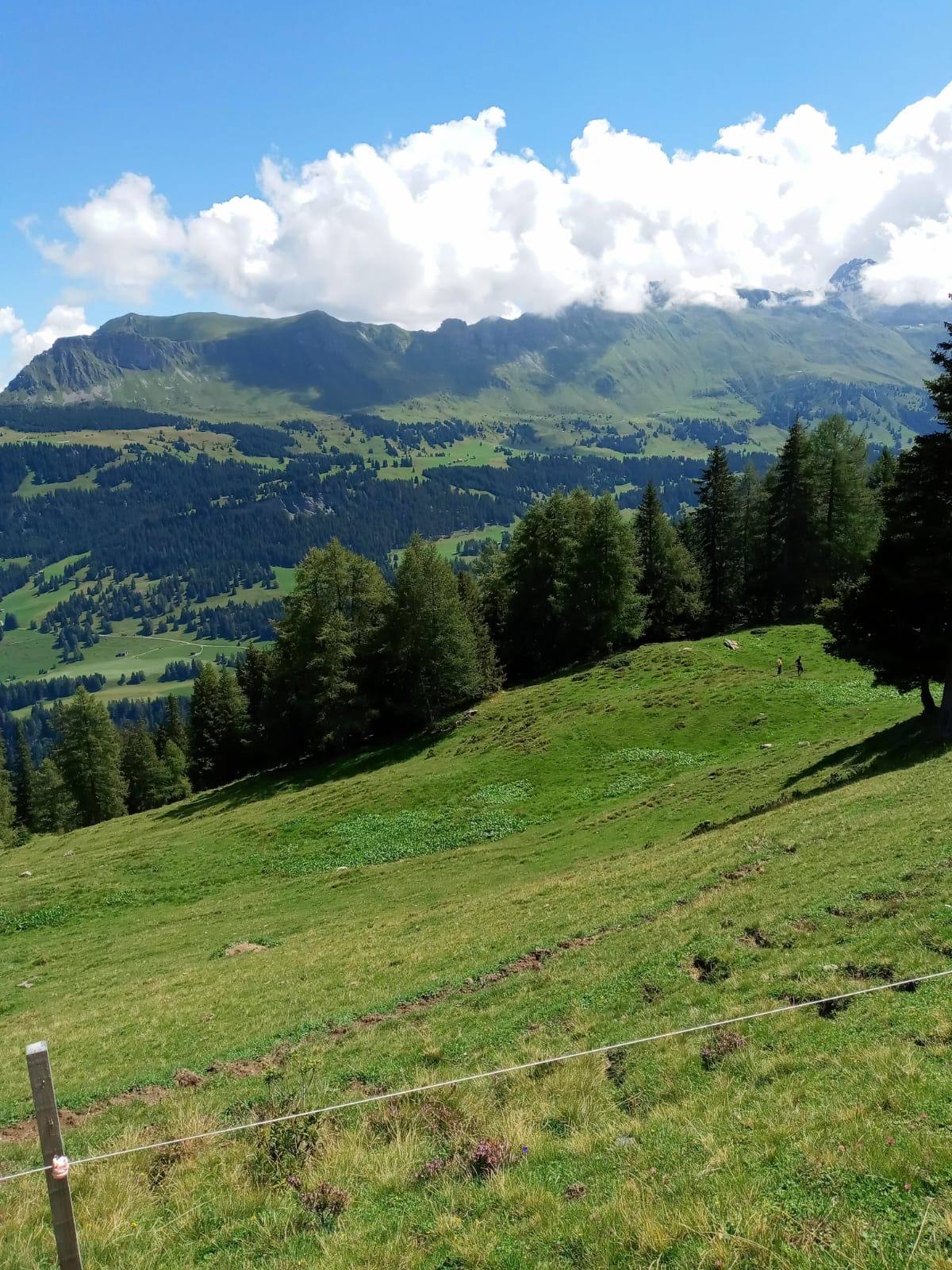 Brambrüesch